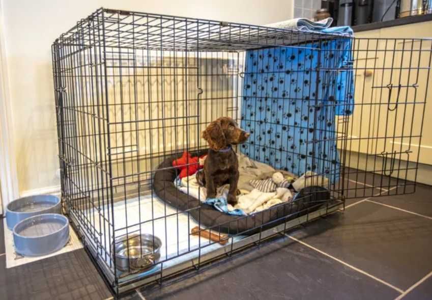 Клітка, клетка №3,4,5,6,7 для собак кошек птиц переноска Різні розміри