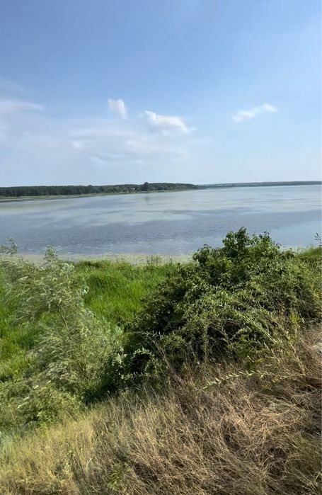 водосховище Хрінників 39сот