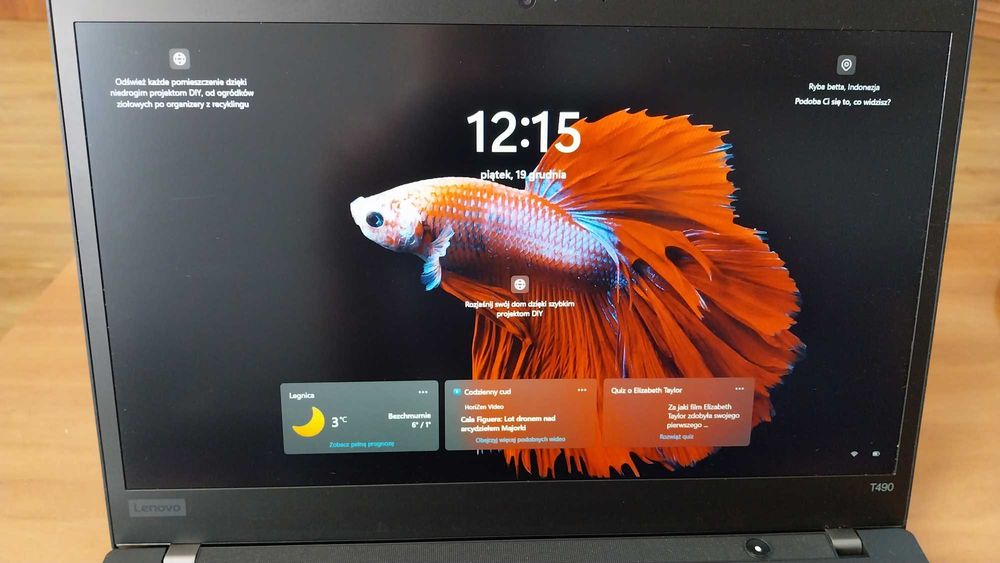 Lenovo ThinkPad T490 i5-8265U 8GB Ram DDR4 dysk NVMe SSD 256GB Win 11