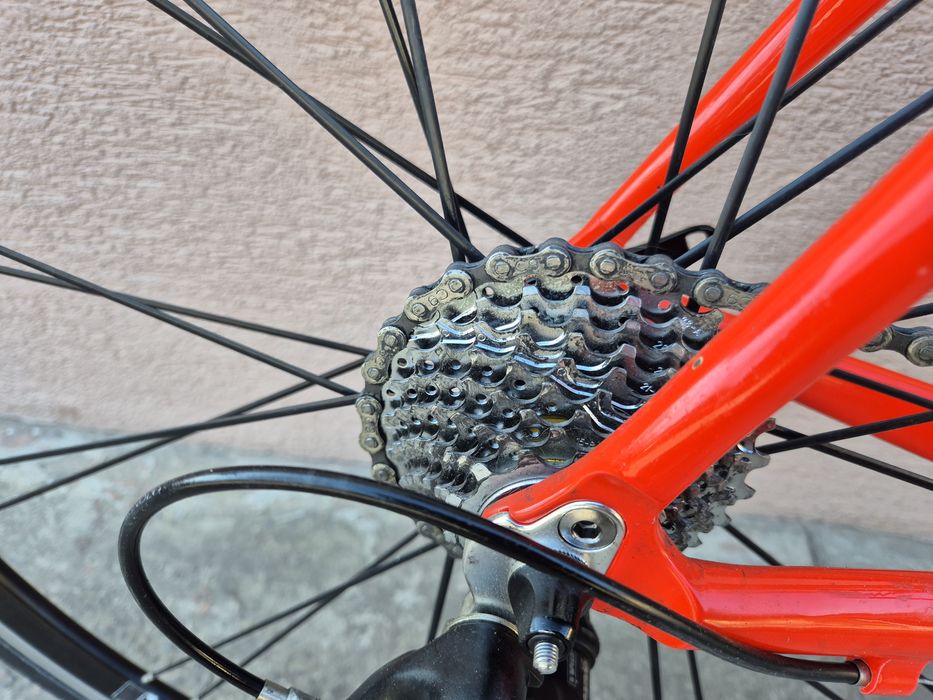 Rower szosowy Olympia, alu/carbon, Campagnolo