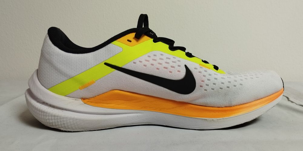 Sapatilhas Nike Winflo 10