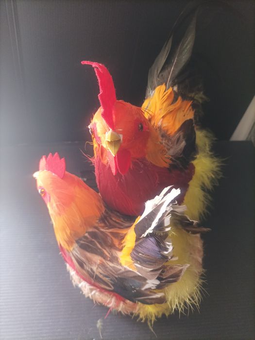 Ninho galo e galinha electrónico