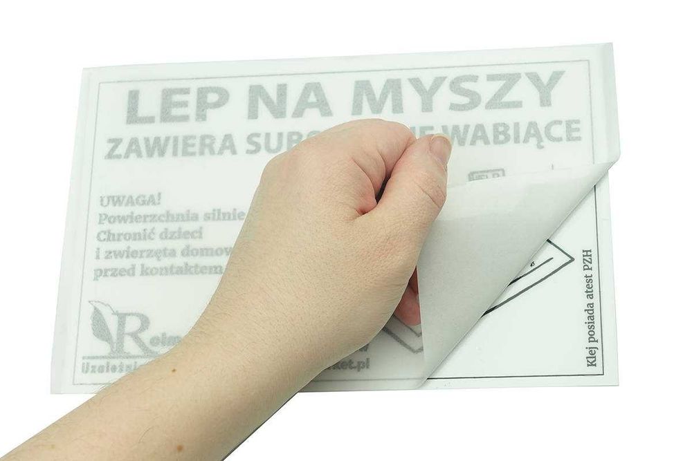 Lep pułapka na myszy z atrakantem wabik lepy 21x14cm 100szt Wysyłka