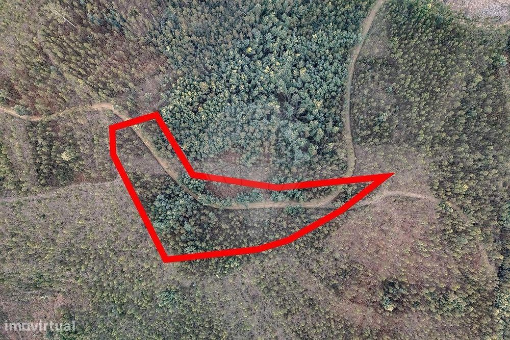 Terreno  para venda