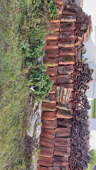 Telha industrial de Pataias n. 80