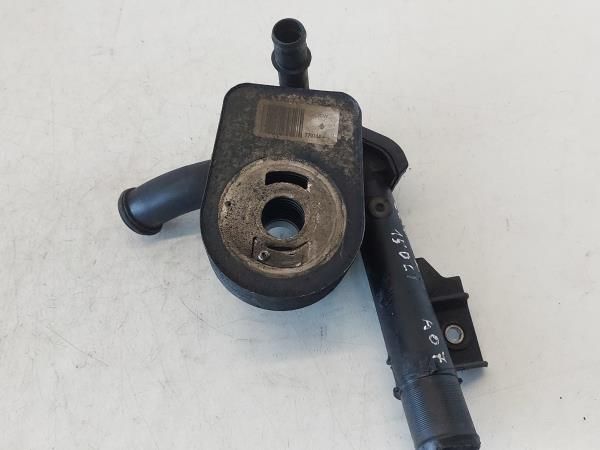 Radiador do óleo RENAULT Clio III (BR0/1, CR0/1)