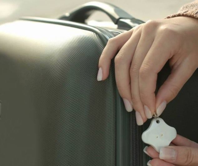 Lapa - Encontre chaves, gatos, cães, tudo