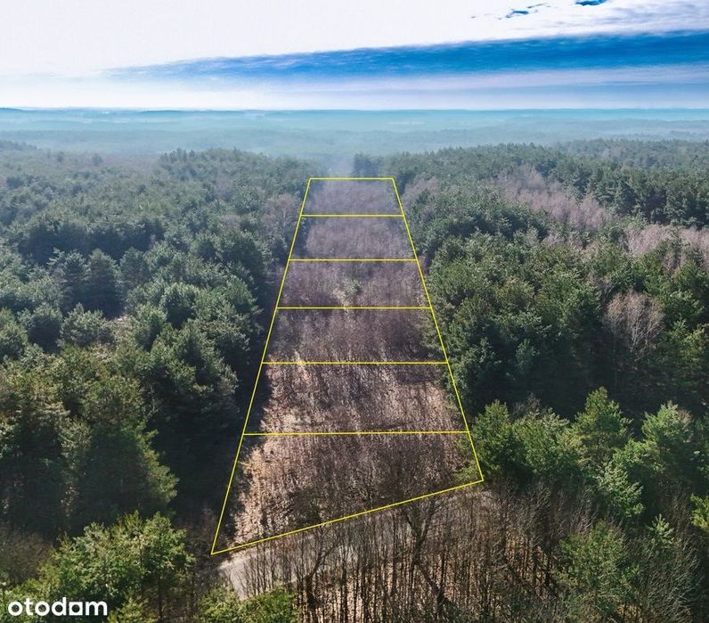 Działki budowlane w otoczeniu lasu 3000m - WZ