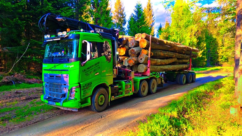 Buk, grab, dab i inne gatunku Drewno opałowe kominkowe