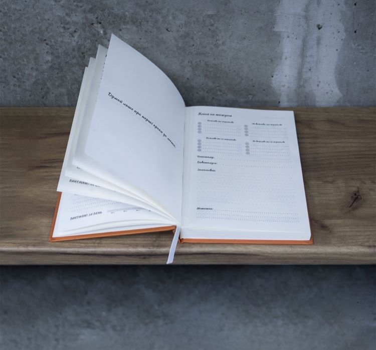 Унікальний подарунок на Новий Рік -Планер авторський