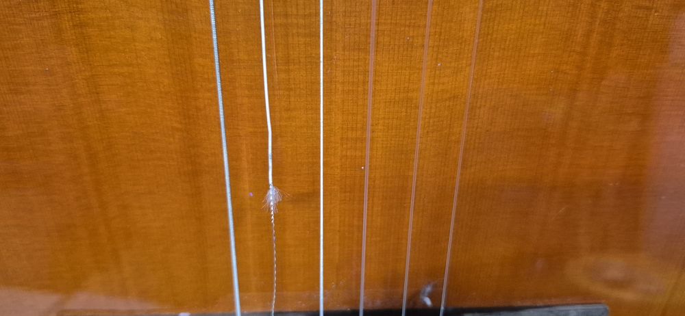 Gitara Clifton Valesca