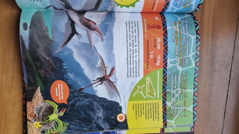 Dinossauros Livro