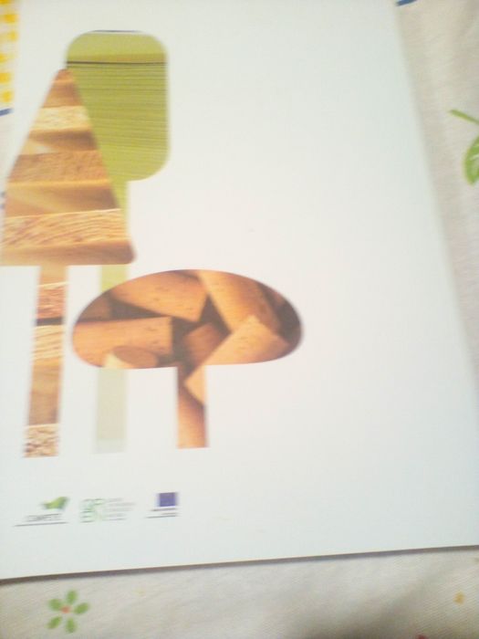 Relatório de C. da Fileira Florestal 201464297763301250121