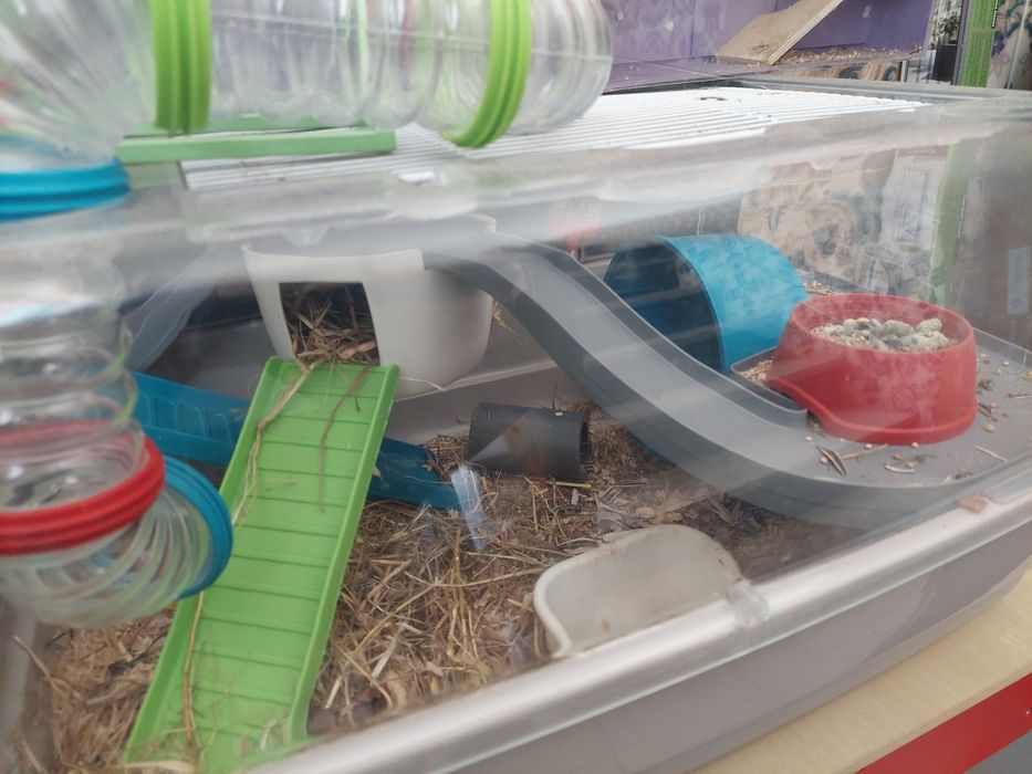 Gaiola da hamsters
