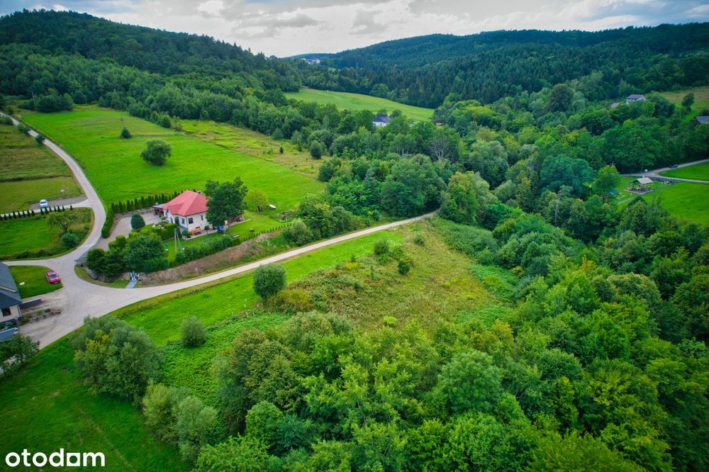 Działka budowlano-rolna przy potoku i przy lesie (możliwość bliźniaka)