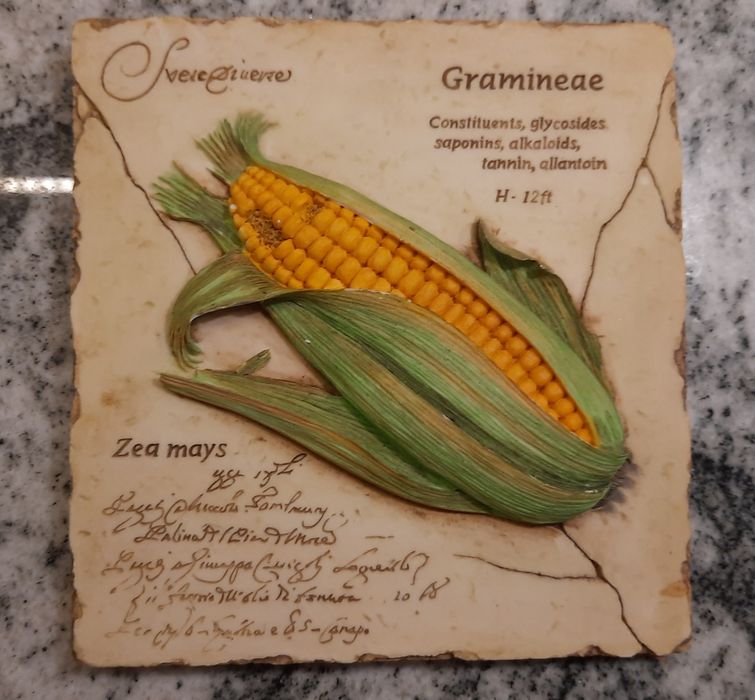 Obrazek kukurydza Marks&Spencer