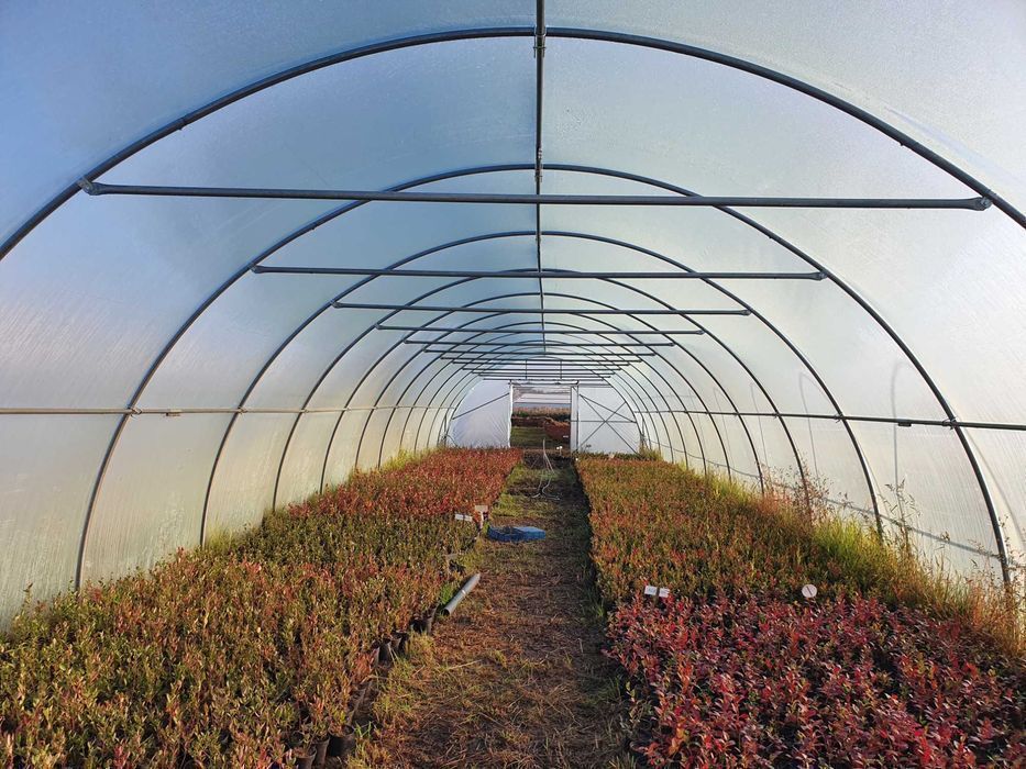 Tunel foliowy  7x3,5x30 - wysoce odporny na warunki pogodowe