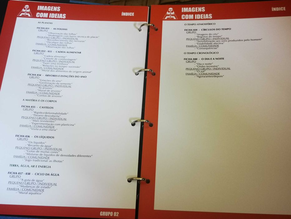 Enciclopédia Educação Infantil - dossiers temáticos