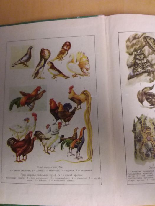 Загальна біологія  9-10 клас(порезана)