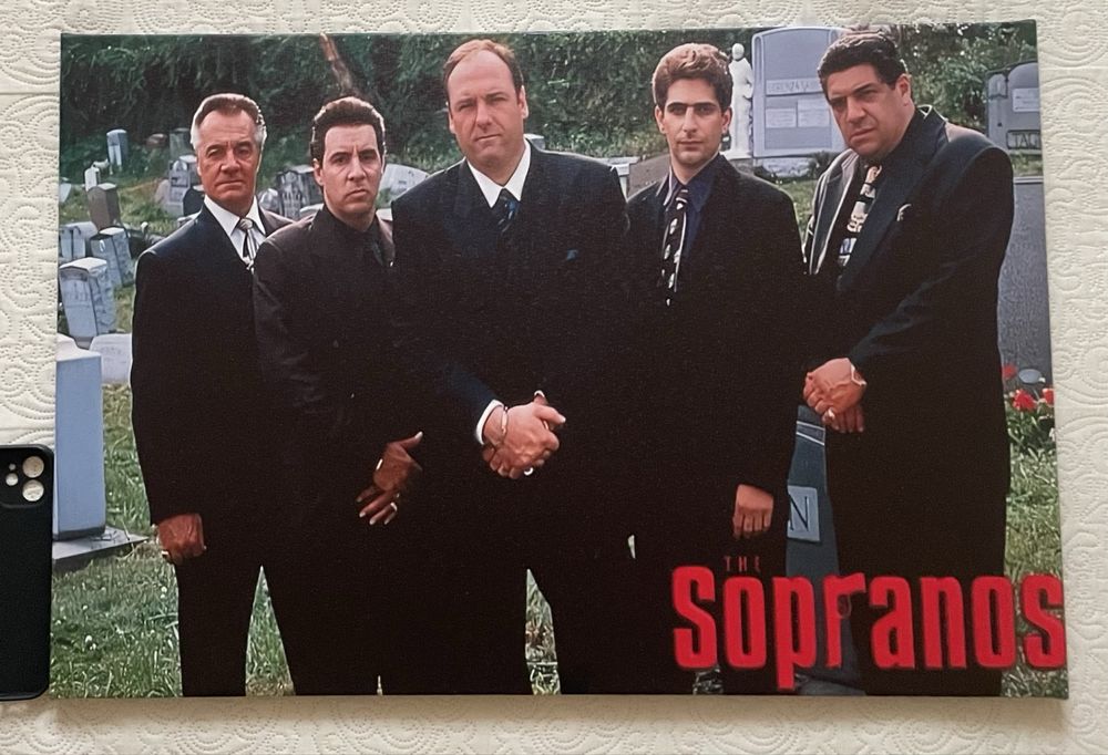 Sopranos, Сопрано, Тоні сопрано, Картина