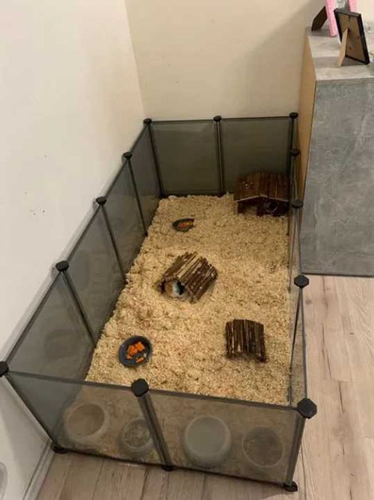 Klatka hodowlana NOWA wybieg zagroda kojec dla królika chomika świnki