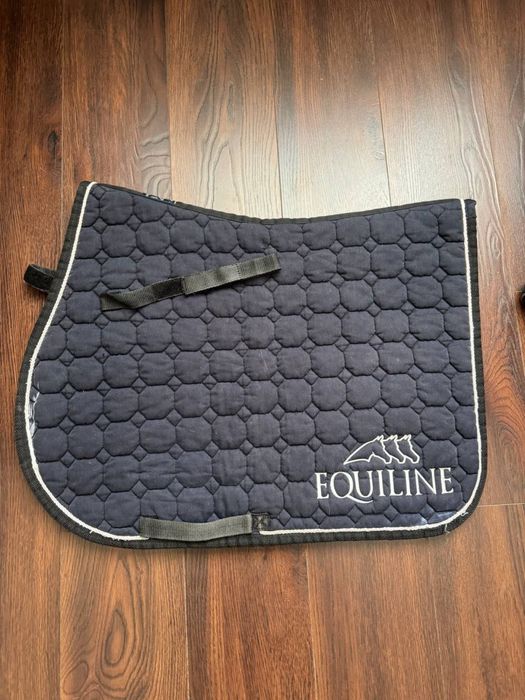 Вальтрап конкурний  equiline