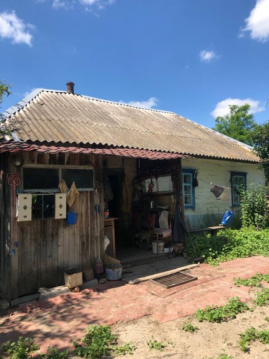 розчистка територій, чистка участків, зрізання дерев, покос трави