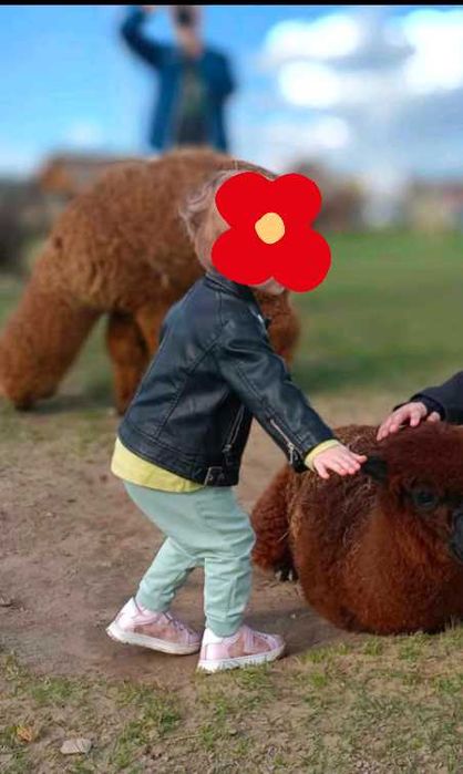 Kurtka skórzana dziecięca rok, 2l -3l, czarna, ramoneska, r 74,80, 92