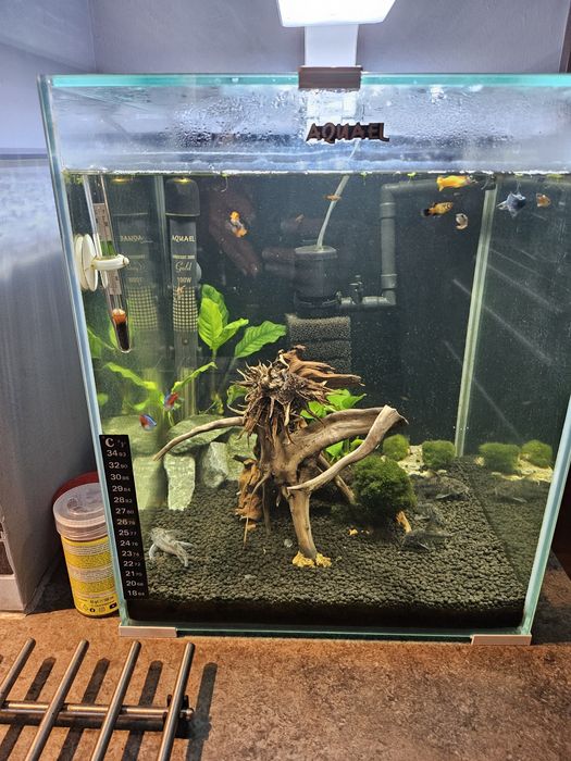 Akwarium kompletne kostka 30L+ grzałka aqueli, filtr i akcesoria.