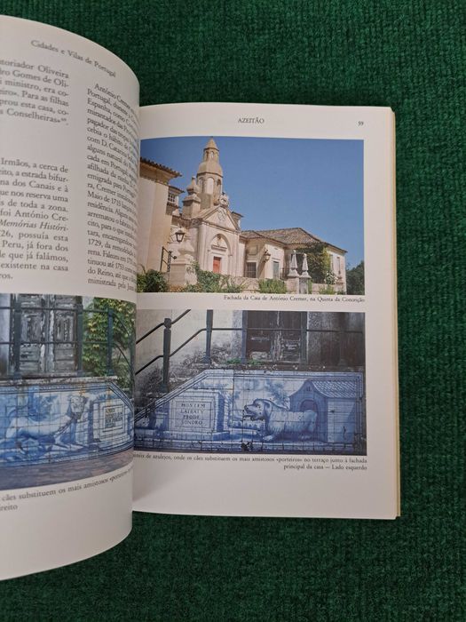 Azeitão - Margarida Calado