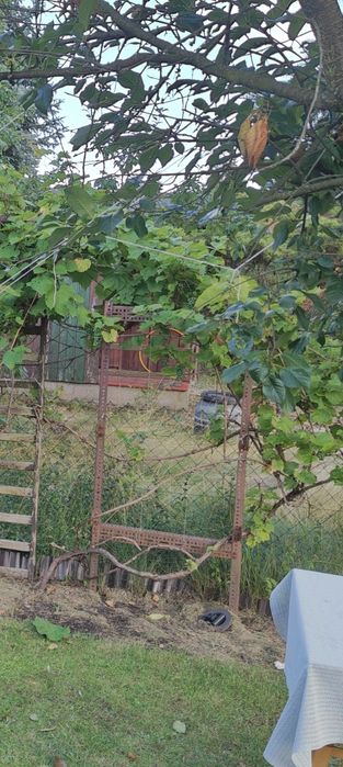 Oddam trochę złomu