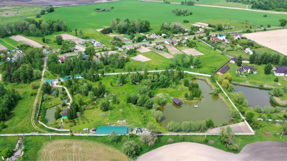 Приватне господарство  3 га