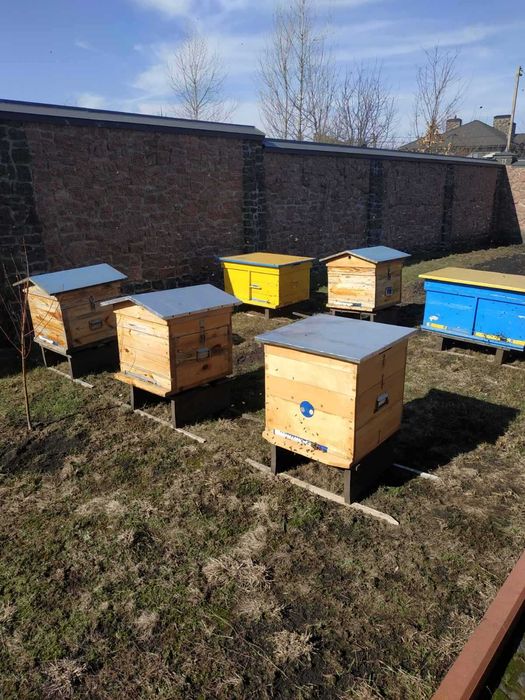 Продам вулики, вощіну, рамки.