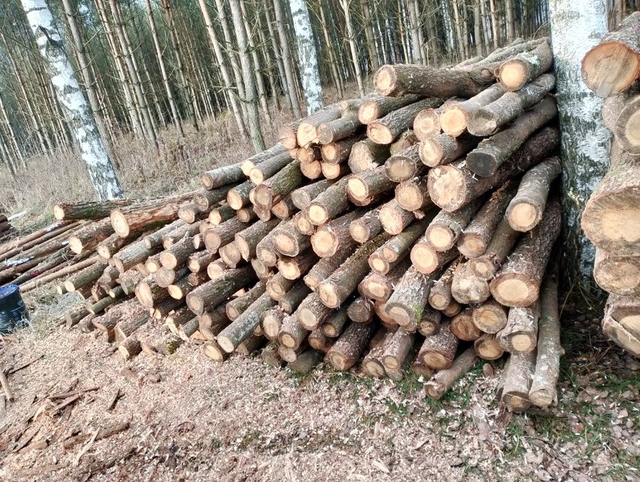 Kołki słupki debowe ogrodzenia budowlane, huśtawka