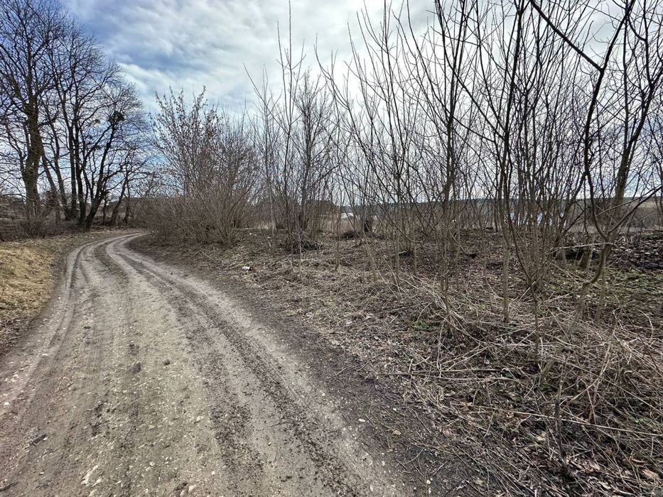 Продаж землі 18,5 соток Нижчі Вовківці 6825087200:02:001:0380