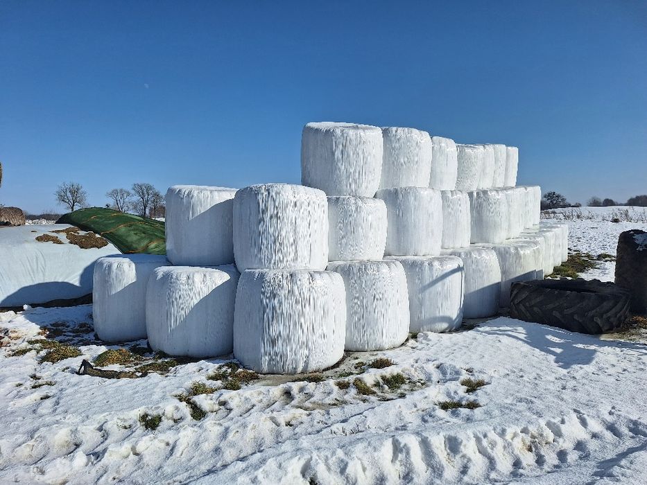 Sianokiszonka koniczyna lucerna