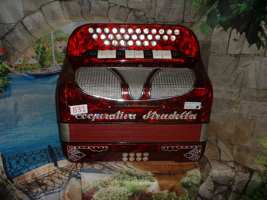 Concertina para venda N,831 Penedono • OLX Portugal