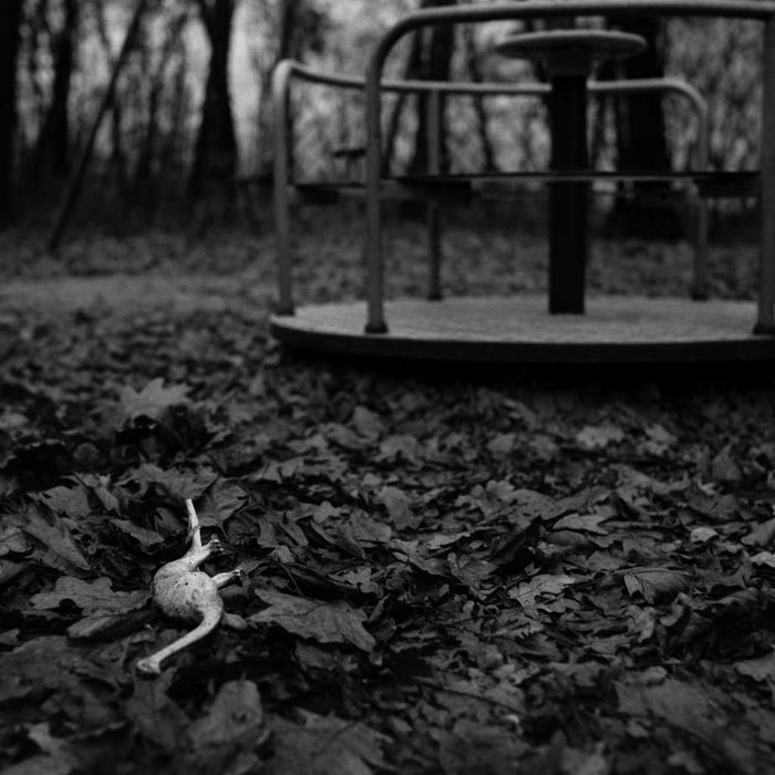 Zenza Bronica S2 + Nikon NIKKOR-PC 75mm f/2.8 + SAMPLE