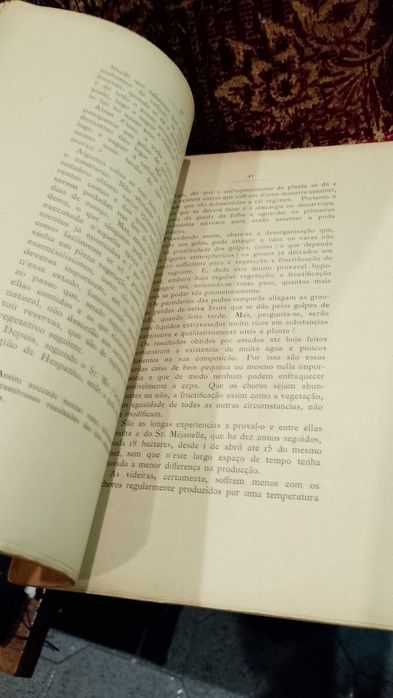 As Podas em Viticultura 1904 Tavares da Silva