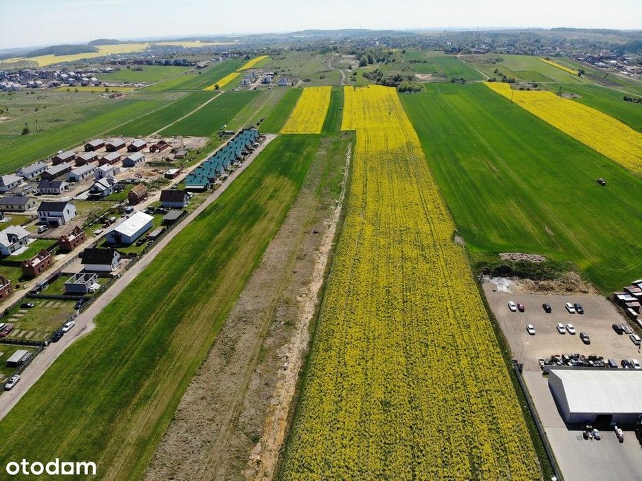 Działka, Tarnowskie Góry