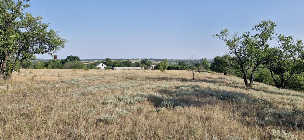 Земельна ділянка, приватизована