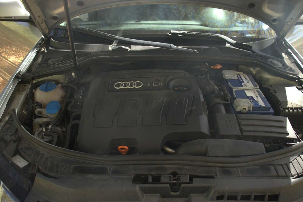 AUDI A3 Hatchback (8P1) 1.6 TDI 105 cv