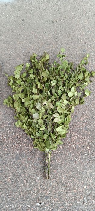 Віники для Бані Лазні Чана Сауни.Веник для бани.Трав'яна Запарка.Мітли