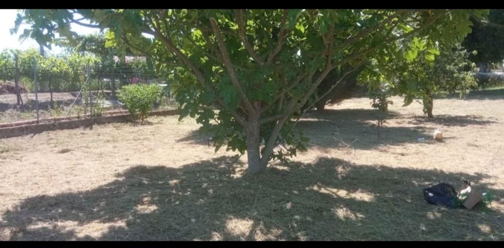 Limpezas de  terrenos.