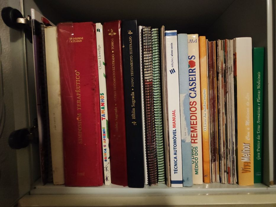 Vários livros diversificados