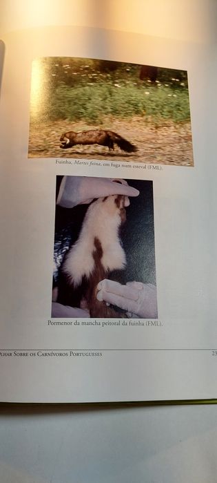 Um Olhar sobre os Carnívoros Portugueses (2012, Lisboa)