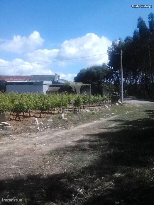 Terreno Rustico — São Bartolomeu Dos Galegos E Moledo, Lisboa