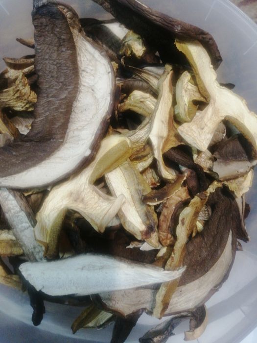 Сушені гриби (збір 2025)