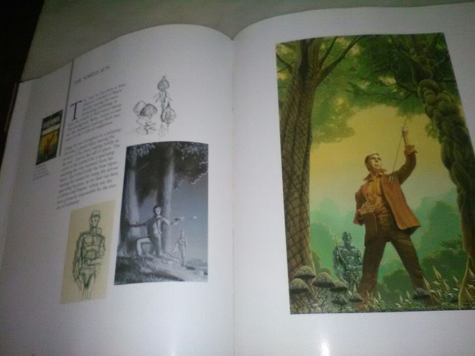 Works of Wonder Michael Whelan's