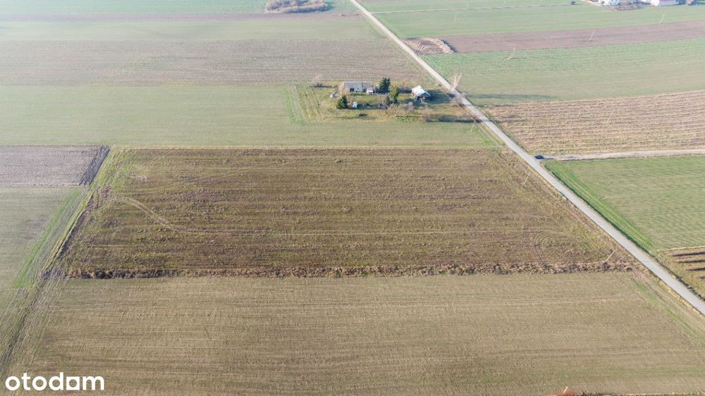 Działki budowlane od 10 do 15 arów koło Zbuczyna - Widok 2